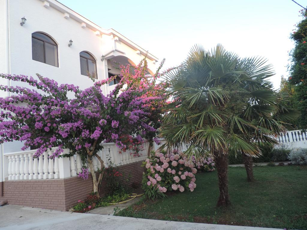 Apartment Stipe بيبينيا المظهر الخارجي الصورة
